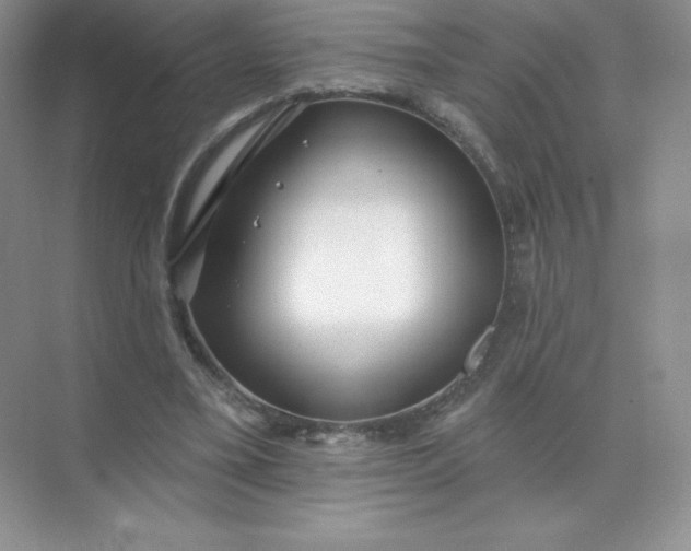 X0000071960395200607212258