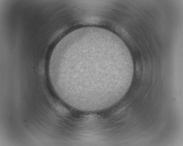 X0000071960396200607212258