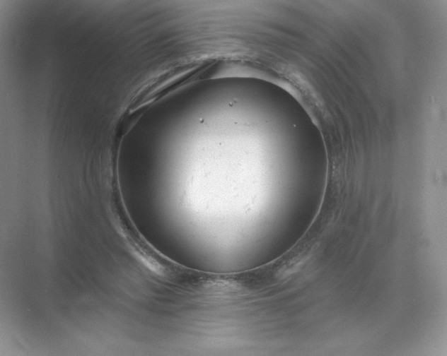 X0000071960397200607212258