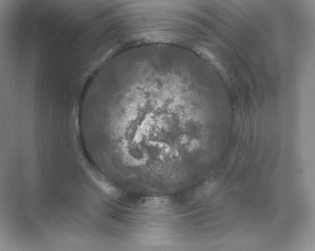 X0000071960398200607212257