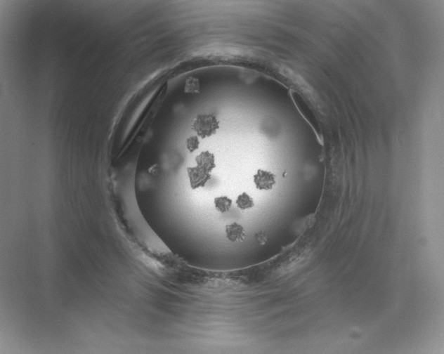 X0000071960399200607212257