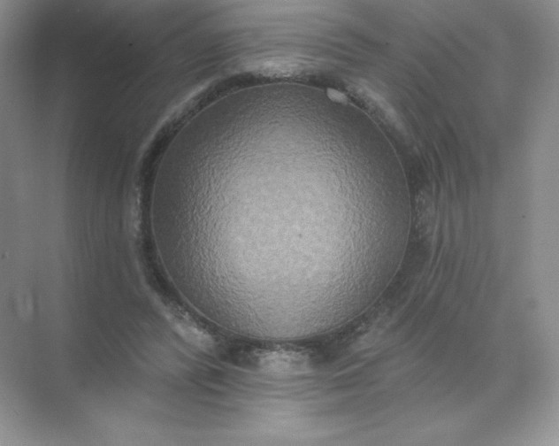 X0000071960400200607212257