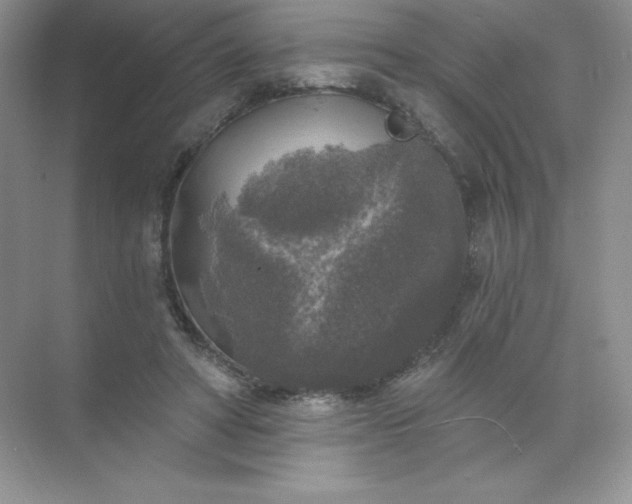 X0000071960402200607212257