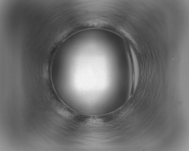 X0000071960403200607212257