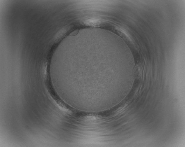 X0000071960404200607212257