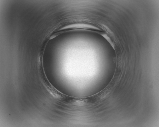 X0000071960405200607212257