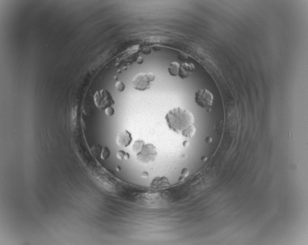 X0000071960406200607212257