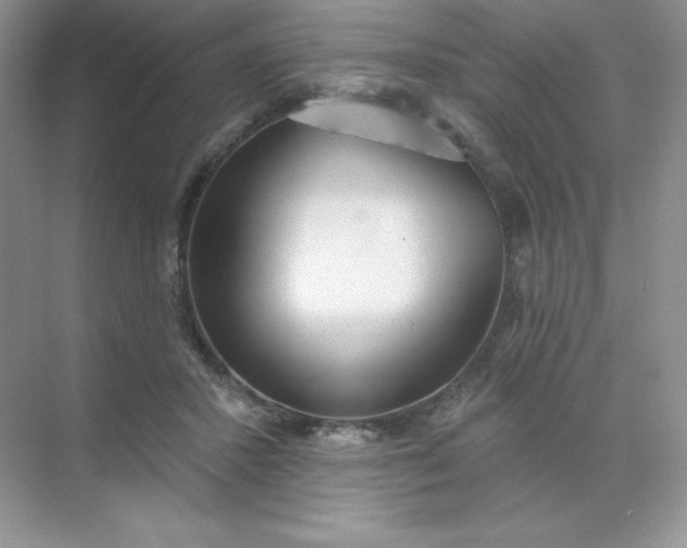 X0000071960407200607212257