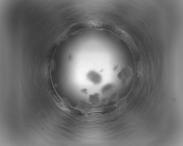 X0000071960409200607212257