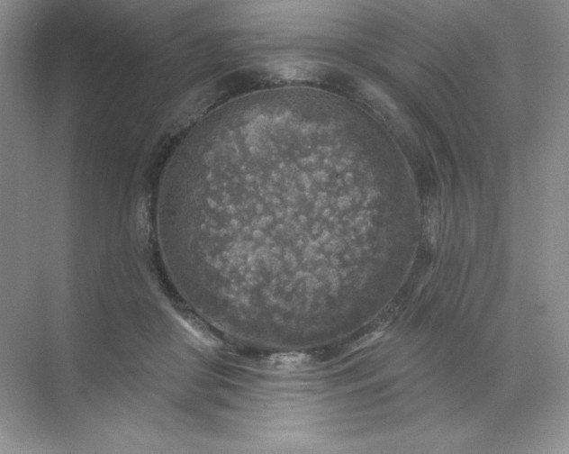 X0000071960410200607212257