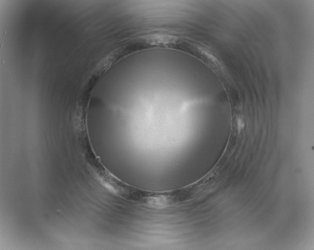 X0000071960411200607212257