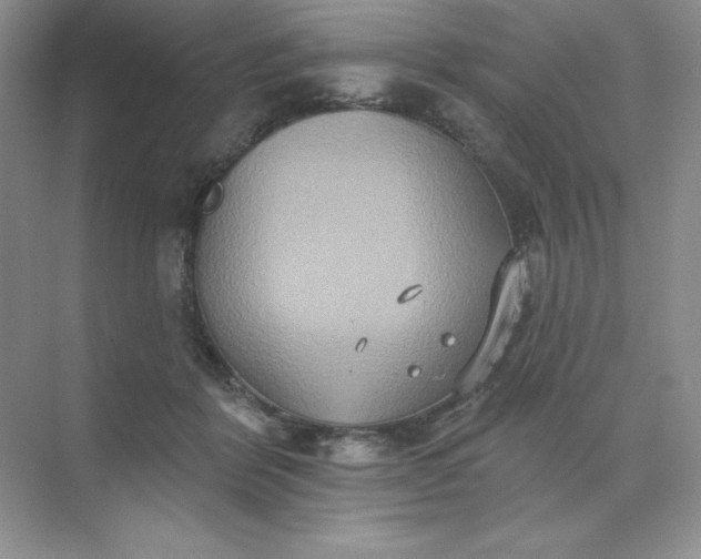 X0000071960412200607212257