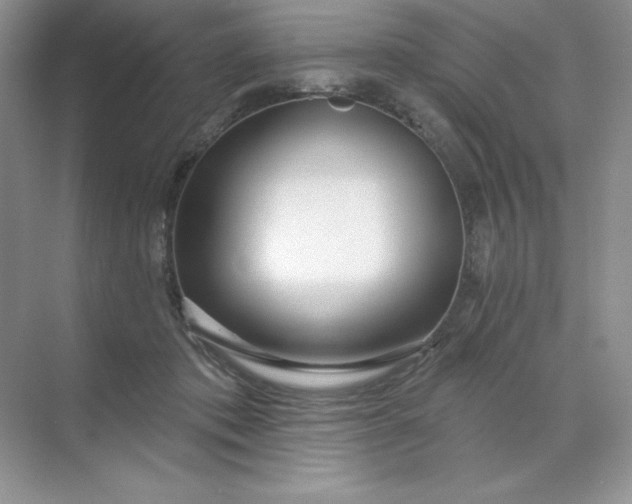 X0000071960413200607212257