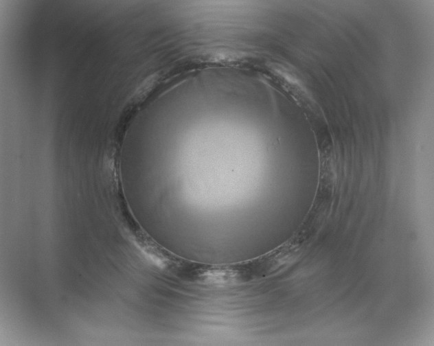 X0000071960415200607212257