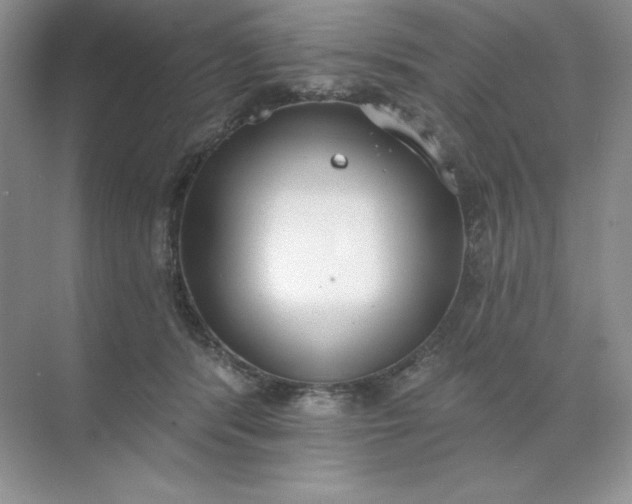 X0000071960416200607212257