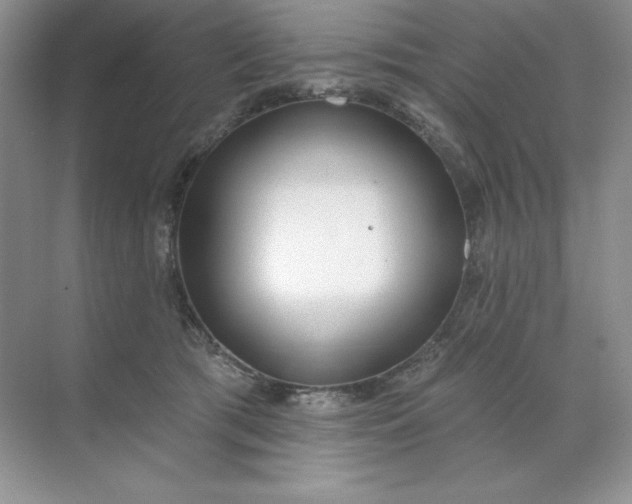 X0000071960417200607212257