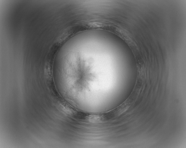 X0000071960418200607212257