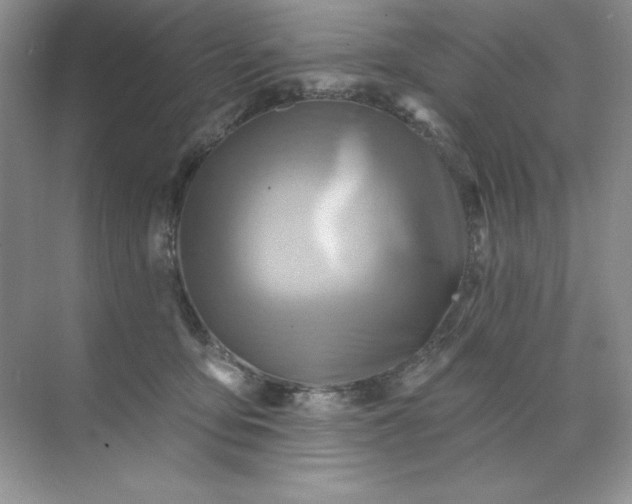 X0000071960419200607212257