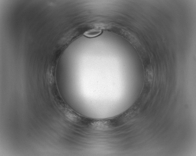 X0000071960422200607212257