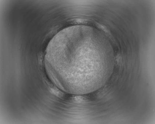 X0000071960423200607212257