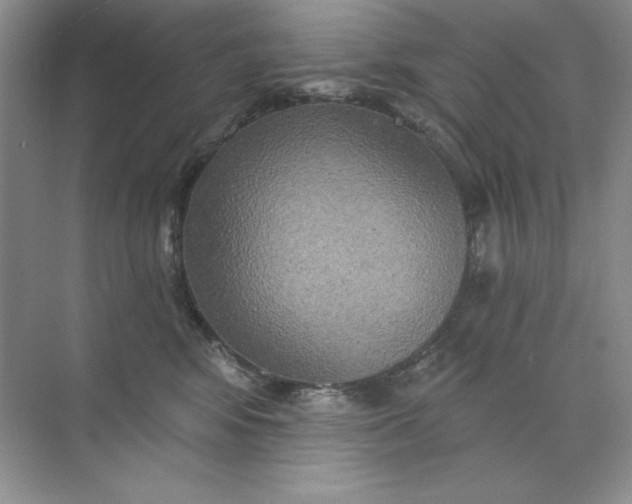 X0000071960424200607212257