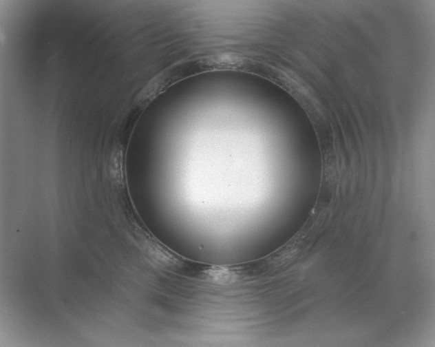 X0000071960425200607212257