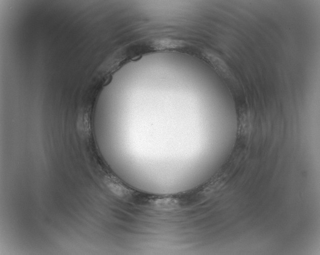 X0000071960426200607212257