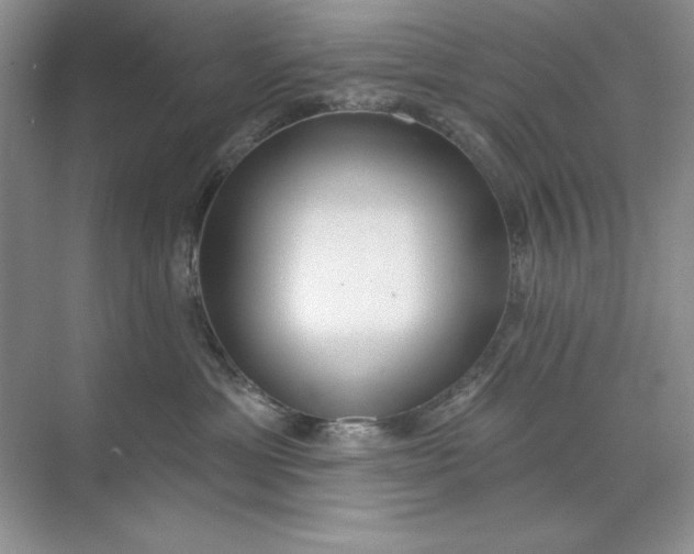 X0000071960429200607212257