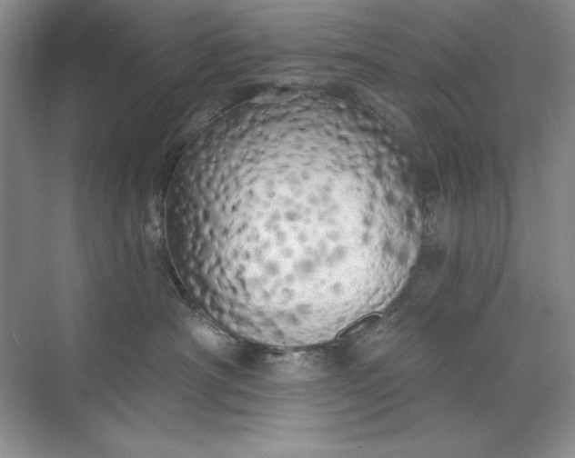 X0000071960430200607212257