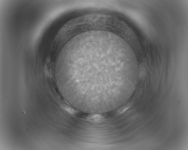 X0000071960431200607212257