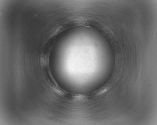 X0000071960432200607212257