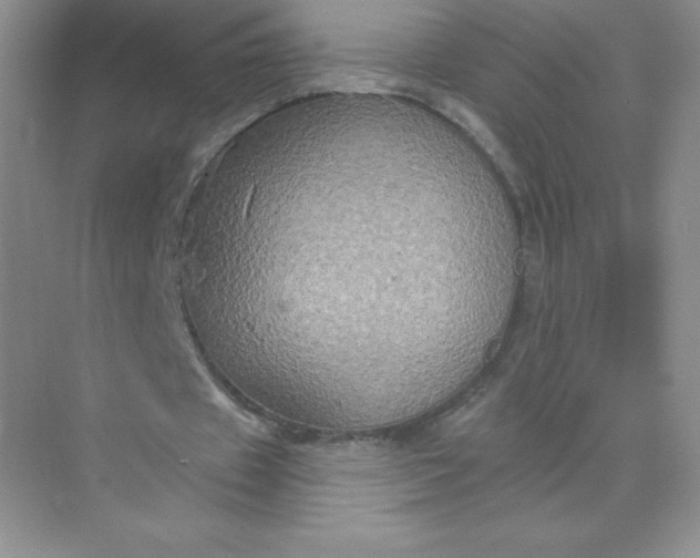 X0000071960433200607212256