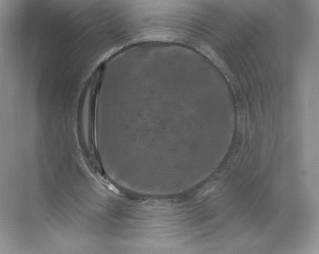 X0000071960434200607212256