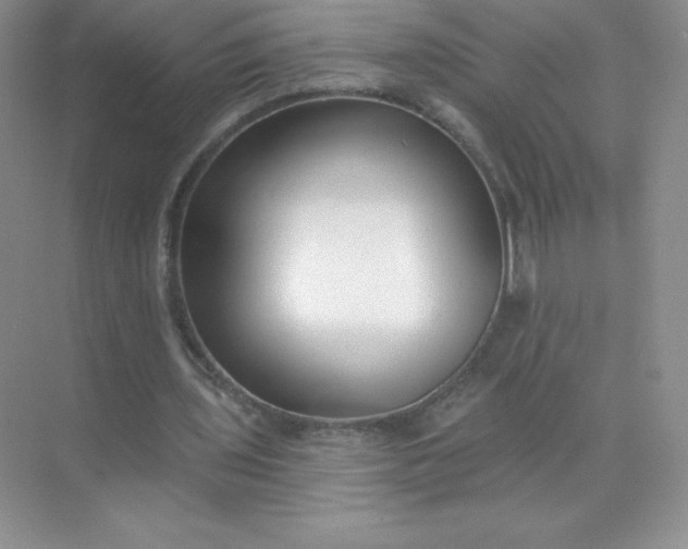 X0000071960435200607212256