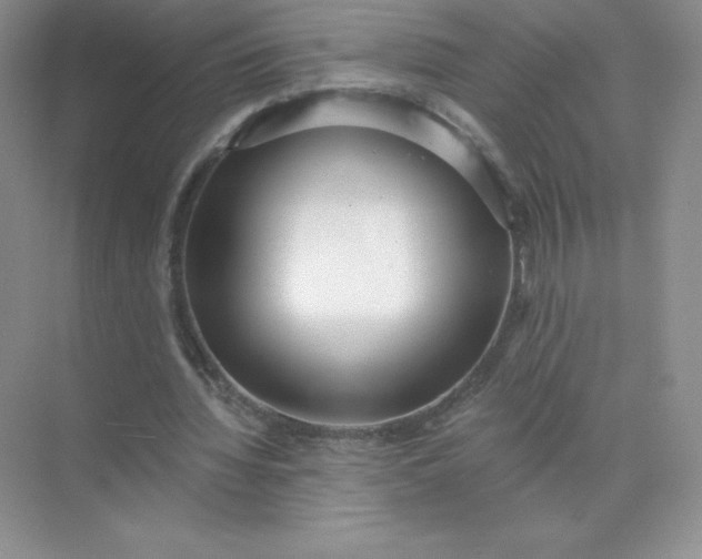 X0000071960436200607212256