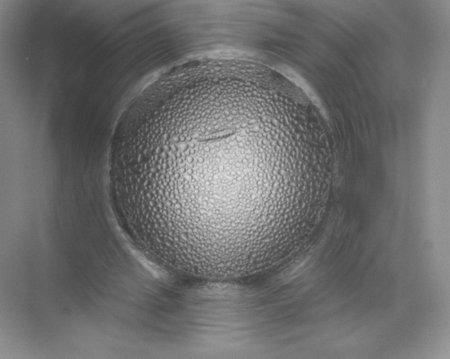 X0000071960437200607212256