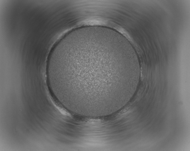 X0000071960438200607212256