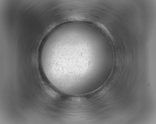 X0000071960439200607212256