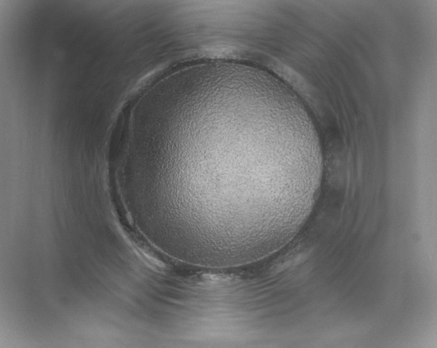 X0000071960442200607212256