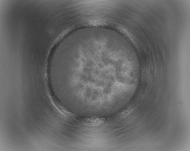 X0000071960443200607212256