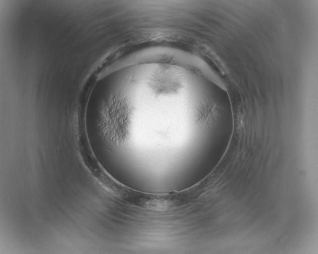 X0000071960444200607212256