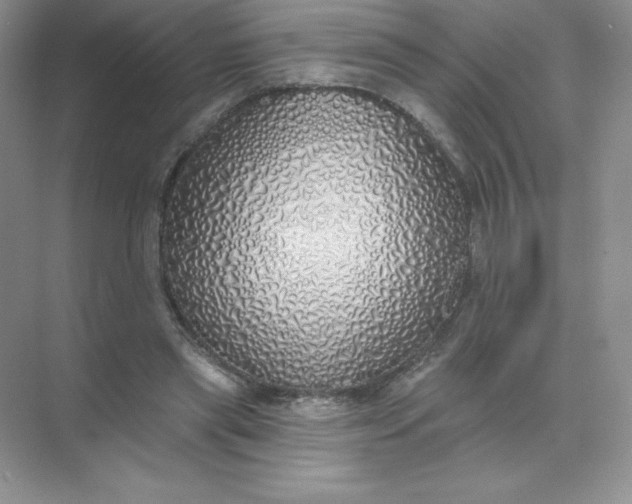 X0000071960445200607212256