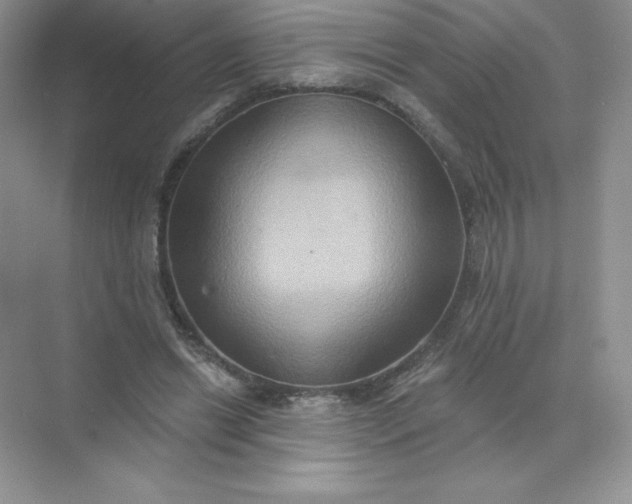 X0000071960446200607212256