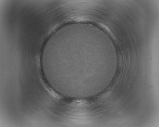 X0000071960447200607212256