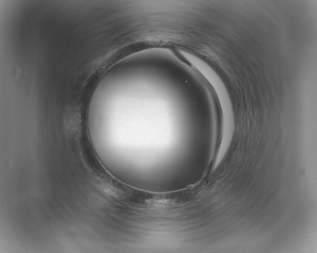 X0000071960448200607212256