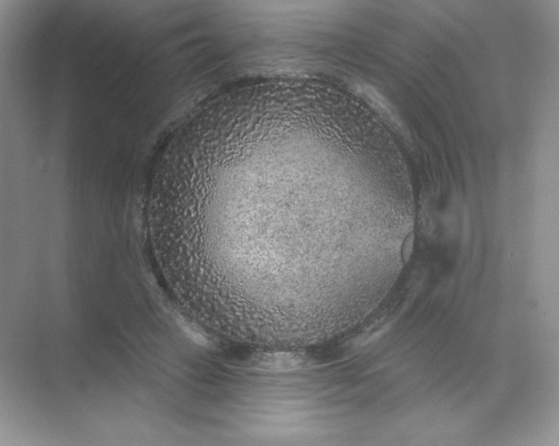 X0000071960449200607212256