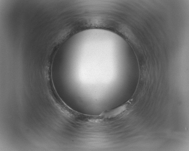 X0000071960450200607212256