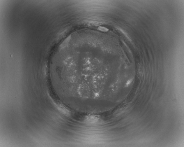 X0000071960451200607212256