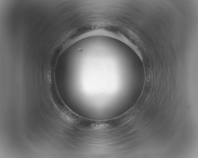 X0000071960452200607212256