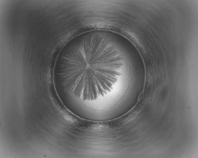 X0000071960453200607212256